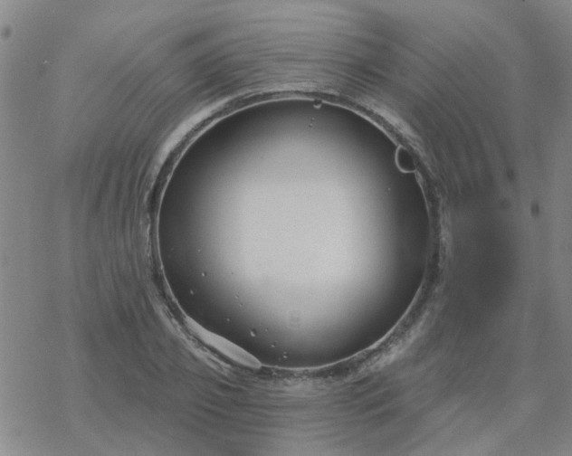 X0000069360933200605192054