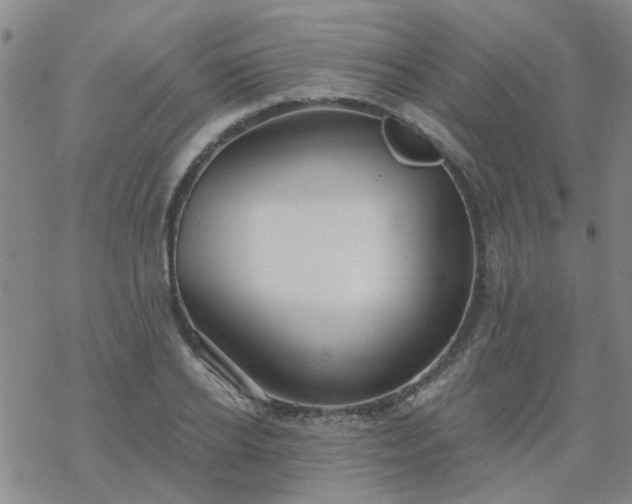 X0000069360934200605192054