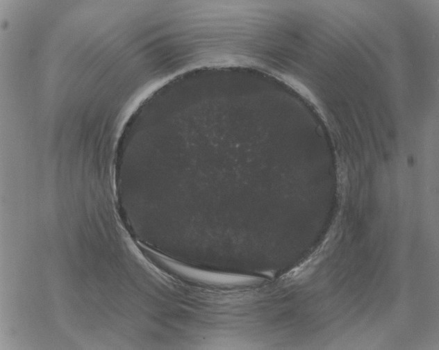 X0000069360935200605192054