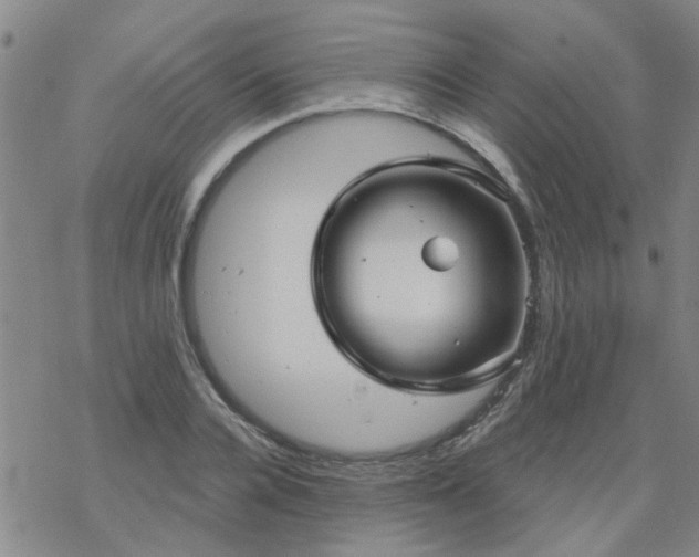 X0000069360936200605192054