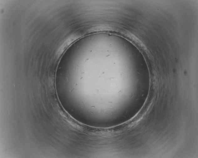 X0000069360937200605192054