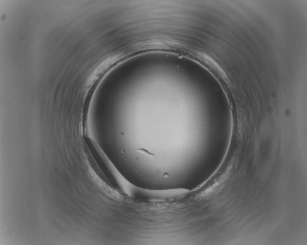 X0000069360938200605192054