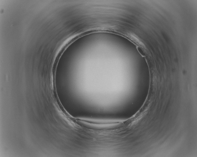 X0000069360940200605192054