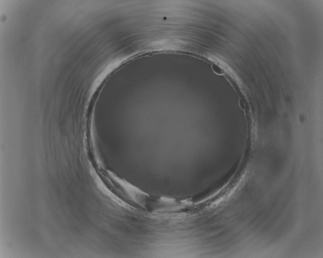 X0000069360941200605192054