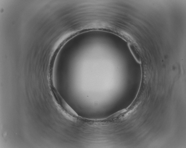 X0000069360942200605192054