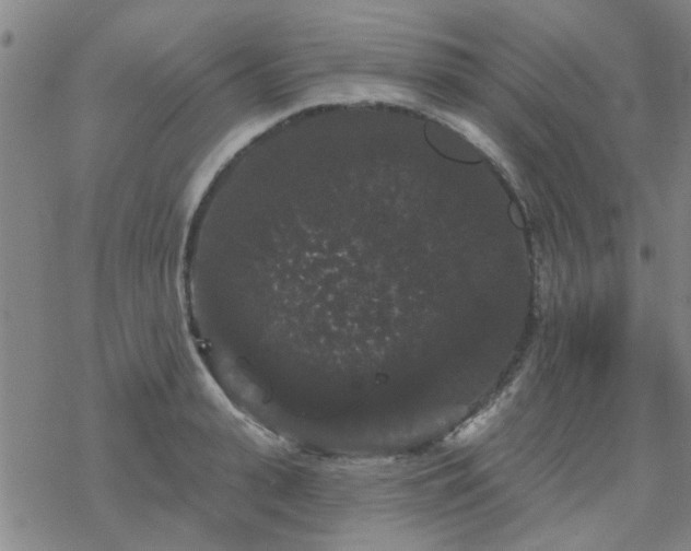 X0000069360943200605192054