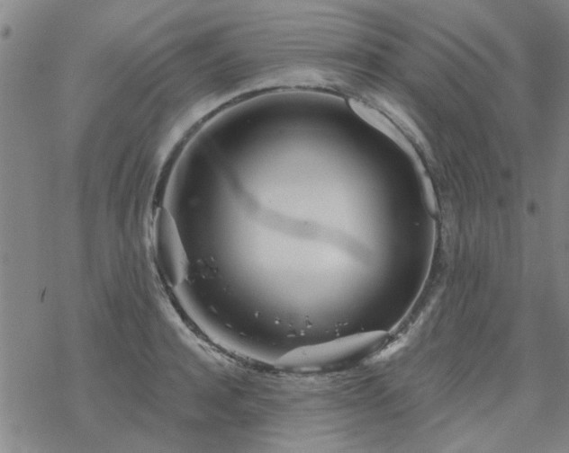 X0000069360944200605192054