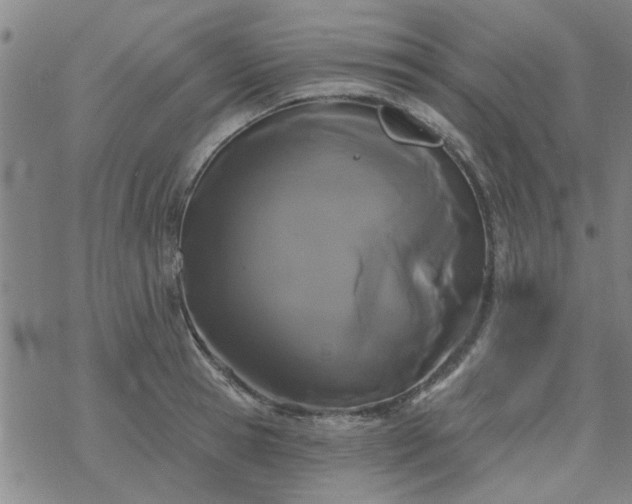 X0000069360945200605192055