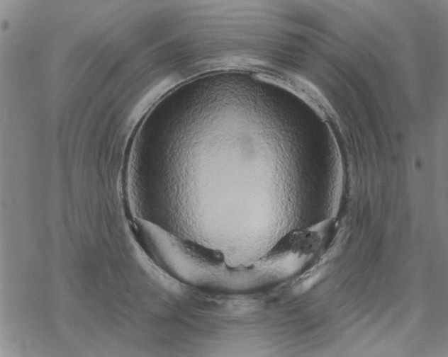 X0000069360946200605192055