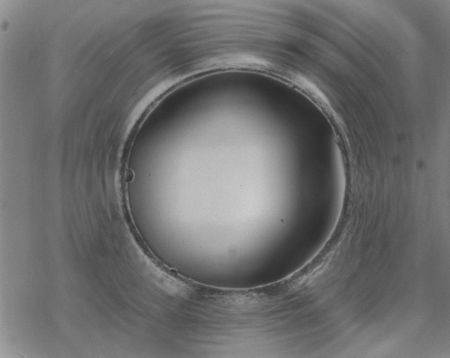 X0000069360947200605192055