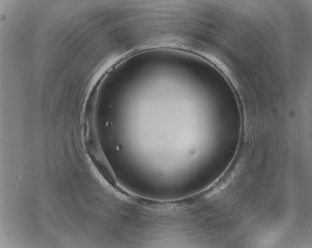 X0000069360949200605192055