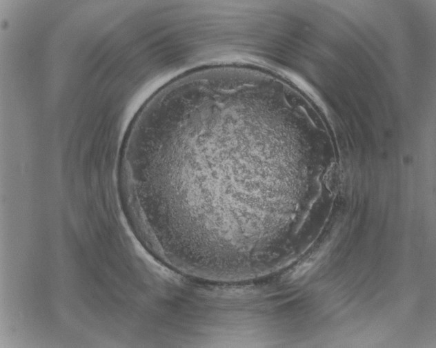 X0000069360951200605192055