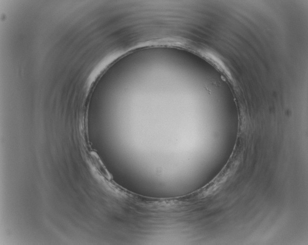 X0000069360952200605192055