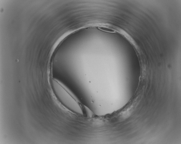 X0000069360955200605192055