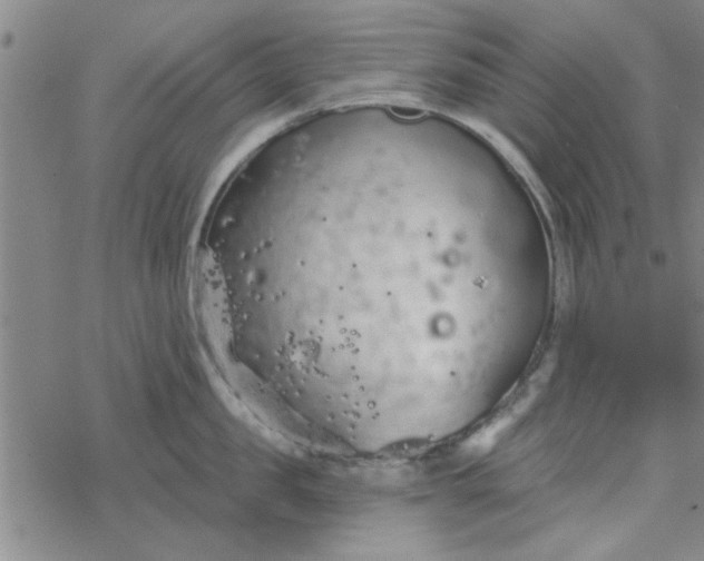 X0000069360957200605192055