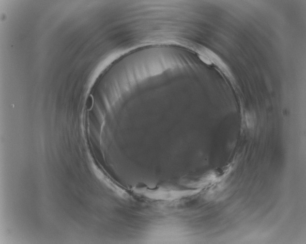 X0000069360958200605192055