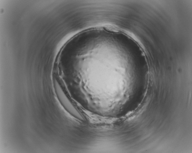 X0000069360959200605192055