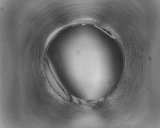 X0000069360960200605192055