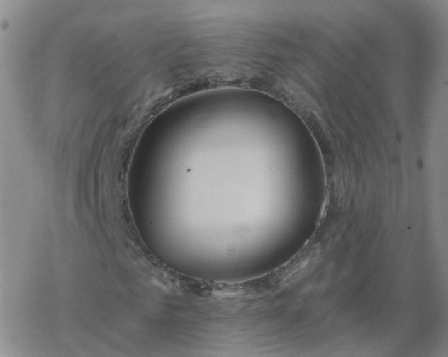 X0000069360961200605192054