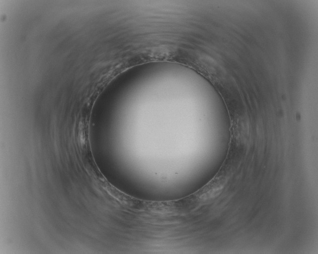 X0000069360962200605192054