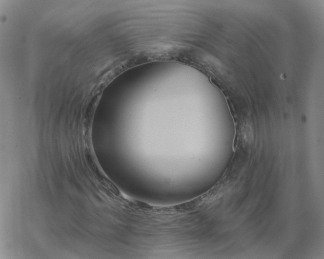 X0000069360964200605192054