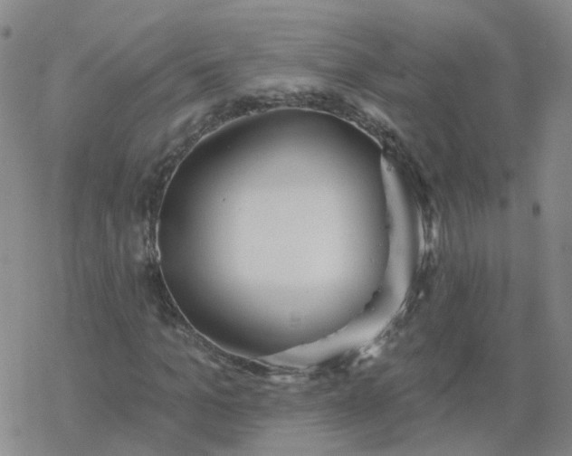 X0000069360965200605192054