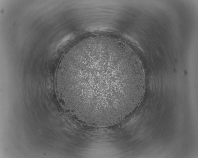 X0000069360966200605192054