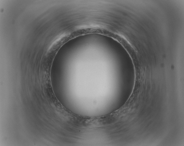 X0000069360967200605192054