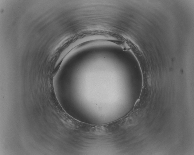 X0000069360968200605192054