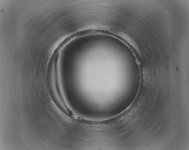 X0000069360972200605192054