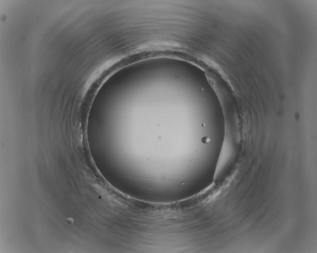 X0000069360973200605192054