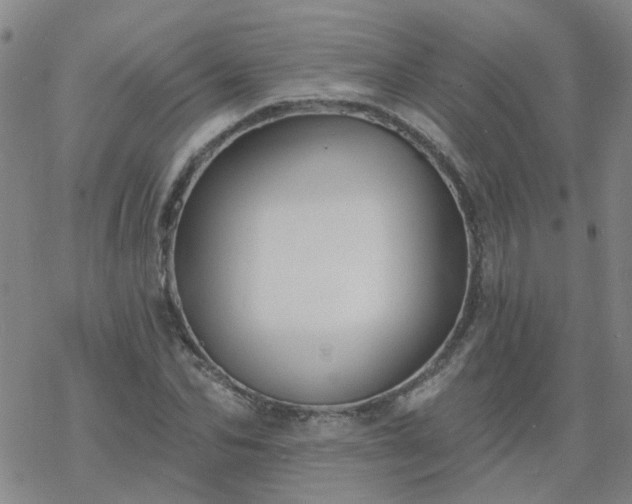 X0000069360974200605192054