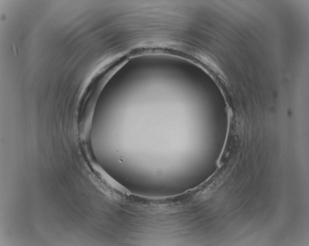 X0000069360976200605192054