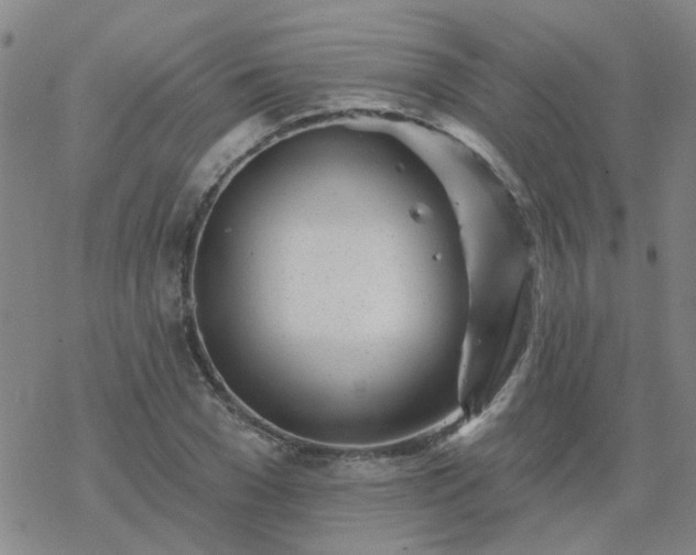 X0000069360977200605192054