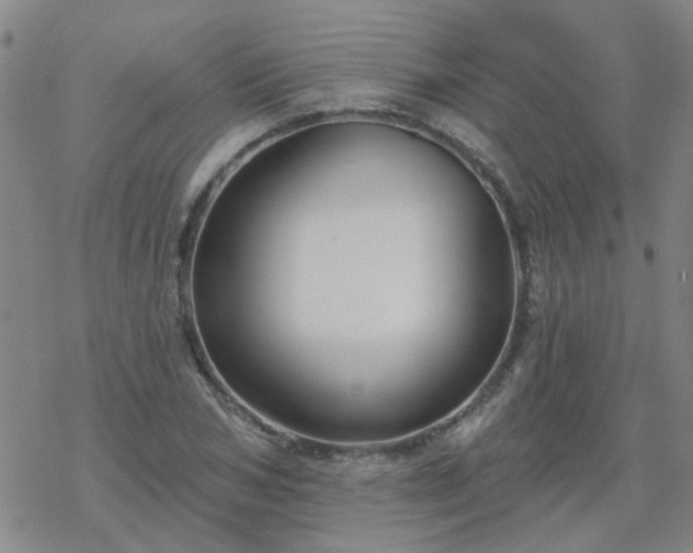 X0000069360978200605192054