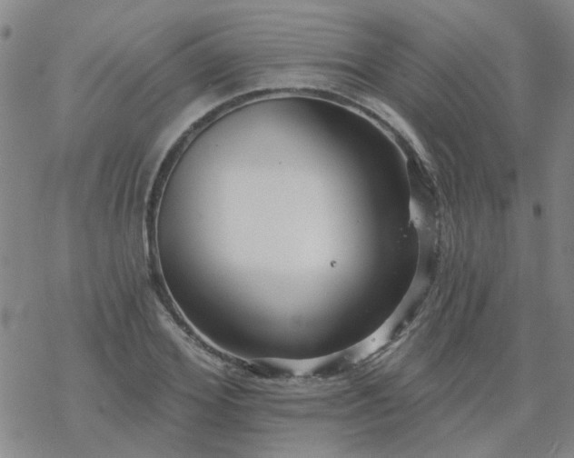 X0000069360980200605192054