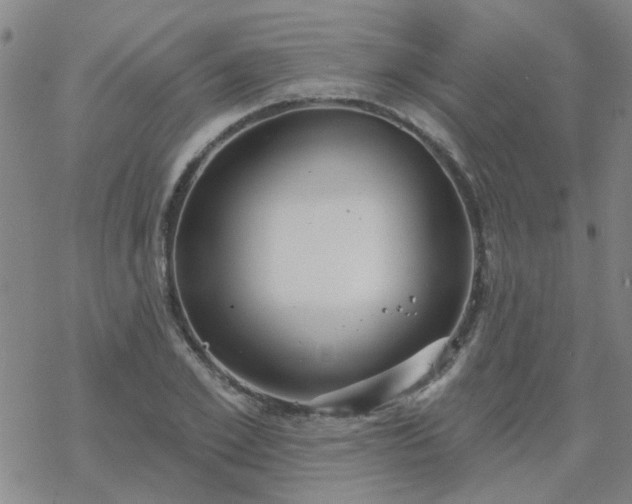 X0000069360981200605192054