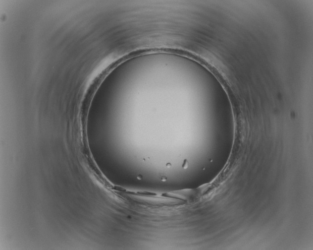 X0000069360982200605192054