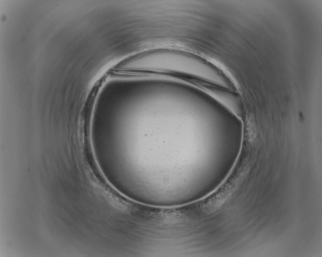 X0000069360983200605192054