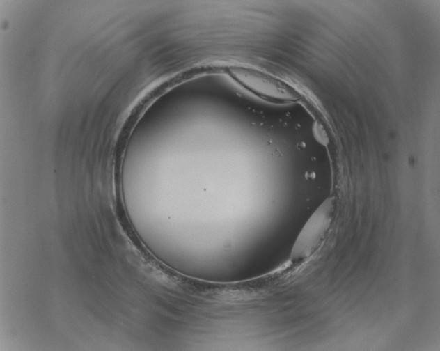 X0000069360984200605192054