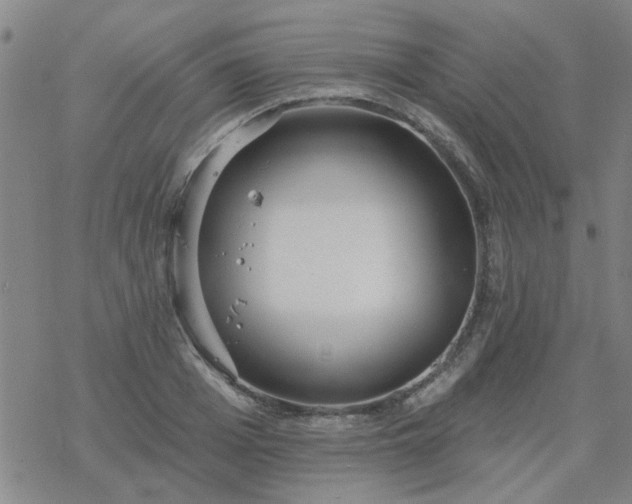 X0000069360985200605192054