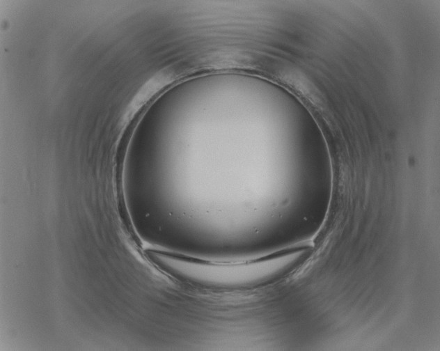 X0000069360986200605192054