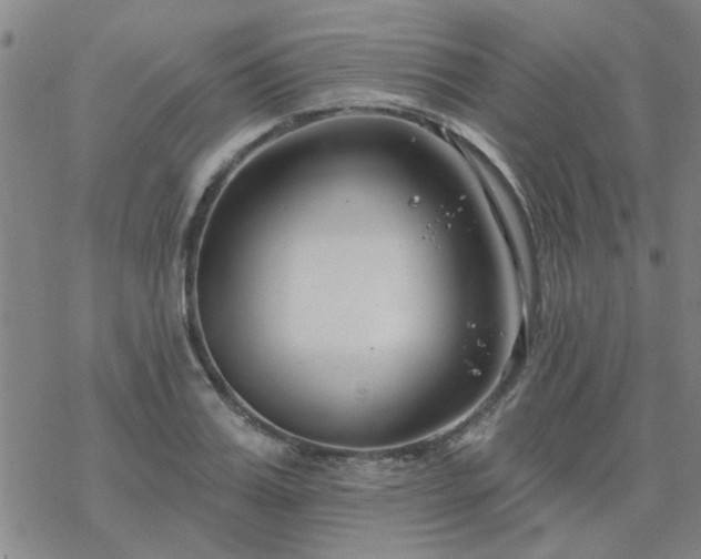 X0000069360987200605192054