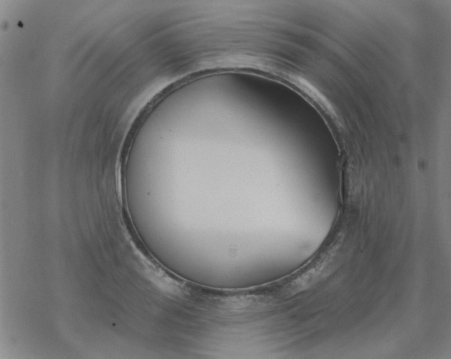 X0000069360988200605192054