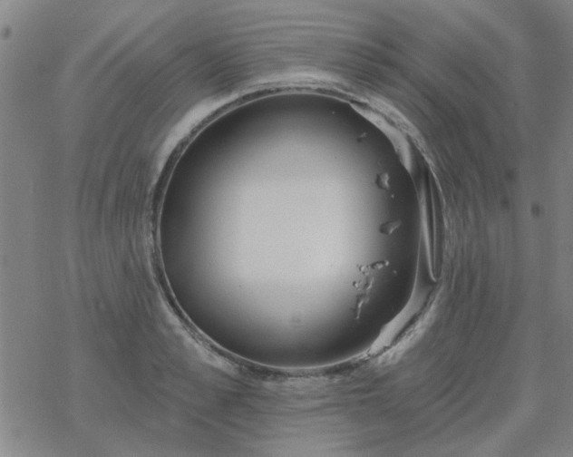 X0000069360989200605192054