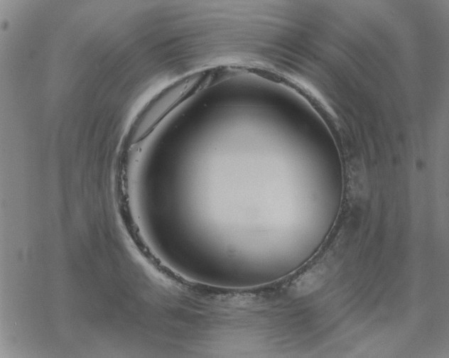 X0000069360991200605192053