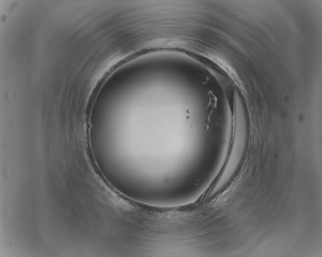 X0000069360992200605192053