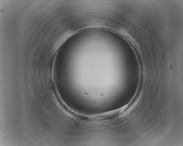 X0000069360993200605192053