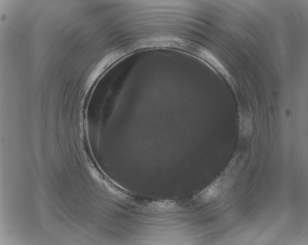 X0000069360994200605192053