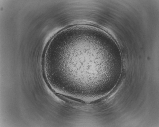 X0000069360995200605192053